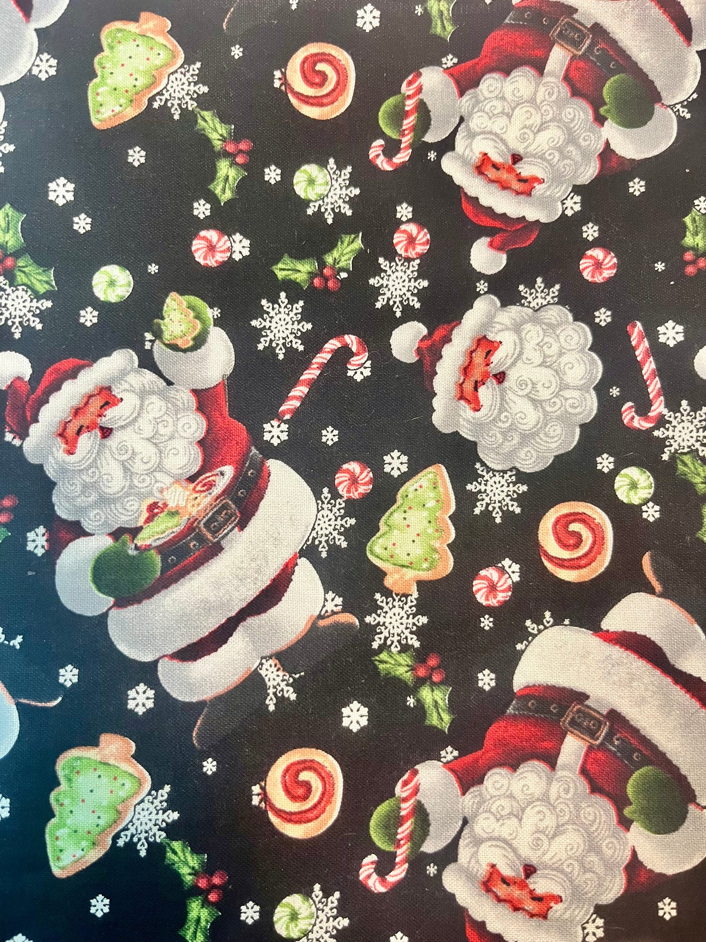 Project Bag for Cross Stitch Christmas w/Santa Claus