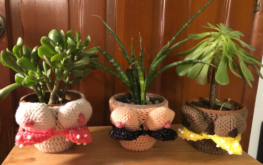 Boobie Plant Cozy