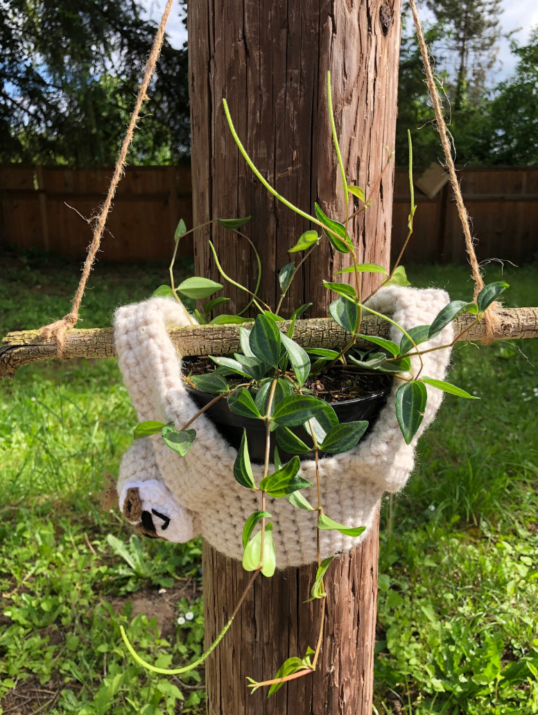 Large sloth plant hanger