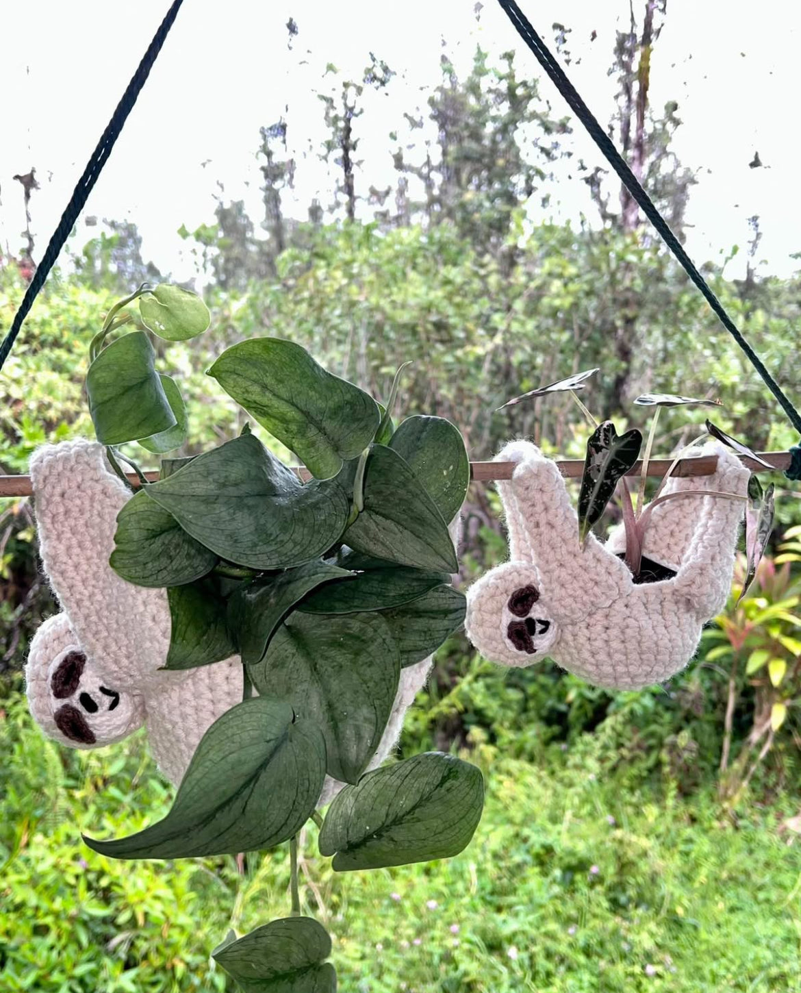 Mama and Baby Sloth Plant Hanger