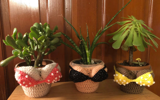 Boobie Plant Cozy